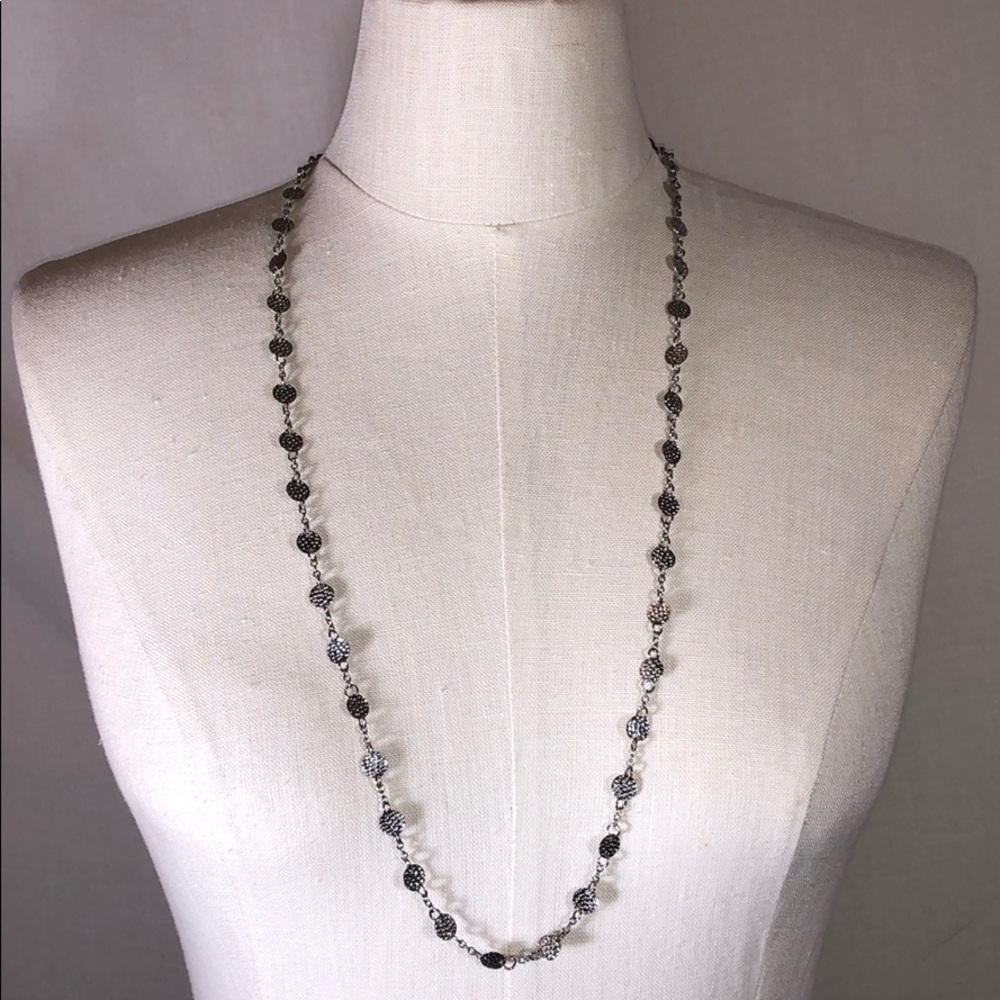 Charming Charlie long Silver Necklace